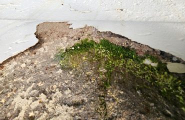 roof-slab-waterproofing-bryanston-2-7