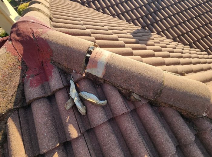 tile-roof-ridge-waterproofing-melville-2-2